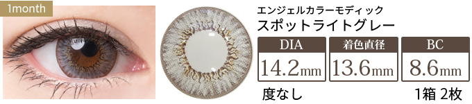 エンジェルカラーマンスリー スポットライトグレー 度なし(1箱2枚入り)