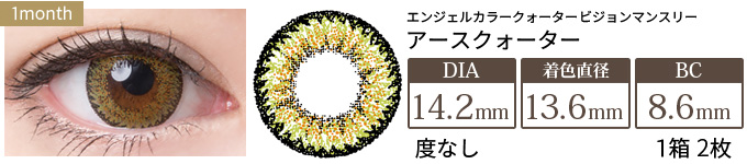 エンジェルカラーマンスリー アースクォーター 度なし(1箱2枚入り)