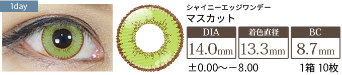 アシストシュシュ シャイニーエッジワンデー マスカット(1箱10枚入り)