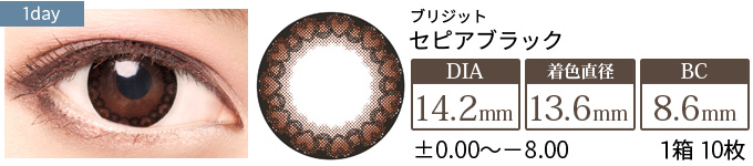 ブリジット No.5セピアブラック(1箱10枚入り)