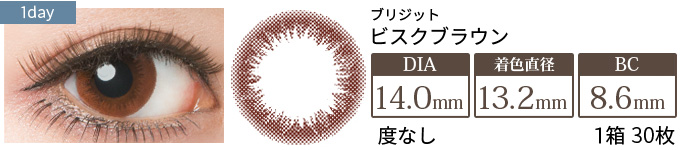 ブリジット No.2ビスクブラウン(1箱30枚入り)
