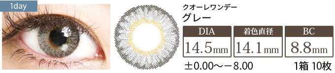 クオーレワンデー グレー(1箱10枚入り)