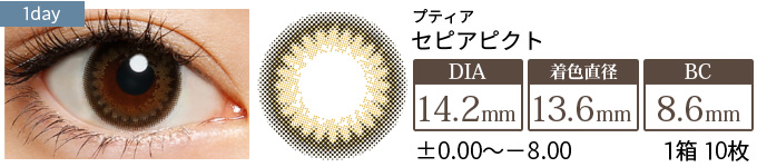 プティア セピアピクト(1箱10枚入り)