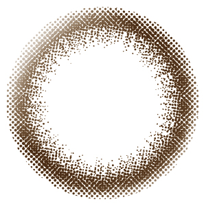 エルージュ シックブラウン (1箱6枚入り)