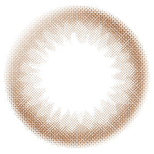 エルージュ シアーブラウン (1箱6枚入り)