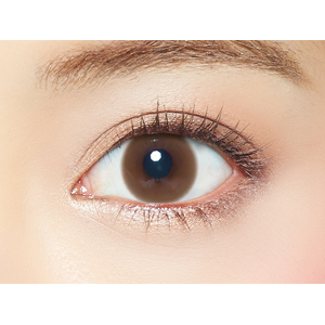 エルージュ シアーブラウン (1箱6枚入り)