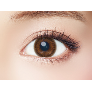 エバーカラーワンデーモイストレーベル シェリーファッジ(1箱10枚入り)