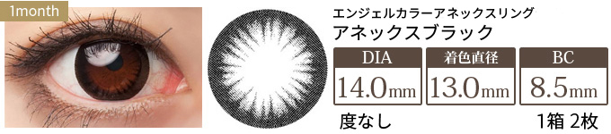 エンジェルカラー アネックスシリーズ アネックスブラック(1箱2枚入り)