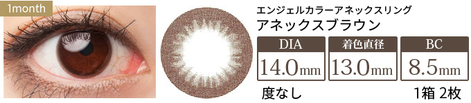 エンジェルカラー アネックスシリーズ アネックスブラウン(1箱2枚入り)