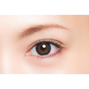 ナデシコカラー ルリ(1箱12枚入り)