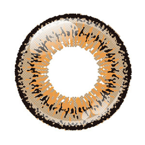 アシストシュシュ ツインループワンデー クラシックブラウン(1箱6枚入り)