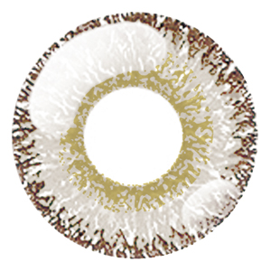 ドルチェ パーフェクトワンデー 箔絵プラチナ (1箱6枚入り)