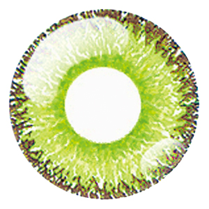 ドルチェ パーフェクトワンデー 皐月ミント (1箱6枚入り)