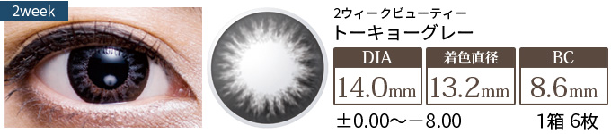 2ウィークビューティー 東京(TOKYO)グレー(1箱6枚入り)