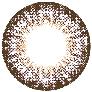 モテコン ショコラドール (1箱1枚入り)