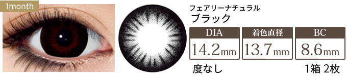 フェアリーナチュラル ブラック 度なし(1箱2枚入り)