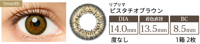 リプリマ ピスタチオブラウン 度なし(1箱2枚入り)