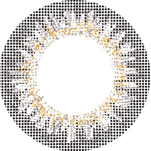 リッチスタンダード エレガントグレージュ (1箱10枚入り)