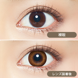 エバーカラーワンデーナチュラル シャンパンブラウン(1箱20枚入り)