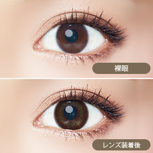 エバーカラーワンデーモイストレーベル ペールミスト(1箱10枚入り)