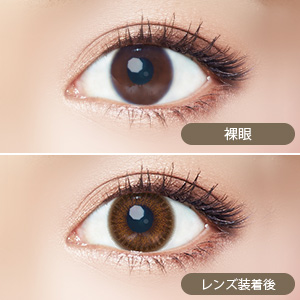 エバーカラーワンデーモイストレーベル シェリーファッジ(1箱10枚入り)