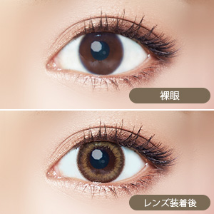 エバーカラーワンデーモイストレーベル リッチグラム(1箱10枚入り)