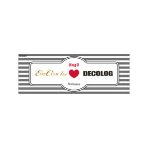 エバーカラーワンデーハグユー ヘーゼル(1箱10枚入り)