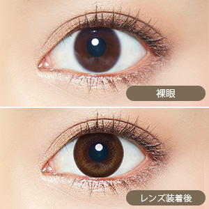 ビュームワンデー チャームブラウン(1箱10枚入り)