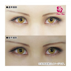 アシストシュシュ シャイニーエッジワンデー ダンデライオン(1箱10枚入り)