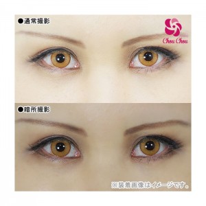 アシストシュシュ シャイニーエッジワンデー アプリコット(1箱10枚入り)