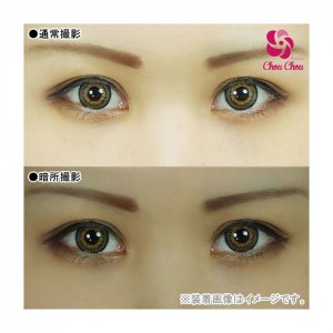 アシストシュシュ ツインループワンデー クラシックブラウン(1箱6枚入り)