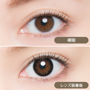 ビーハートビーワンデー 102-BK(ブラック)(1箱10枚入り)