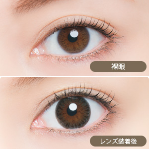 ビーハートビーワンデー 103-GR(グリーン)(1箱10枚入り)