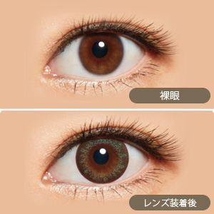 スターリー アース(1箱10枚入り)