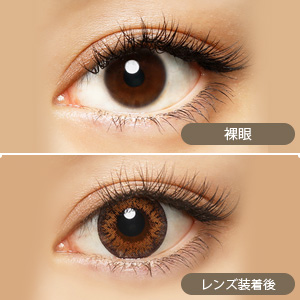 メルシェ モカトリュフ 度あり(1箱1枚入り)