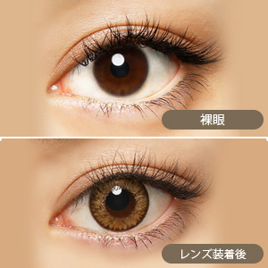 メルシェ ハニーミルク 度あり(1箱1枚入り)