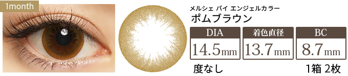 メルシェ ポムブラウン 度なし(1箱2枚入り)