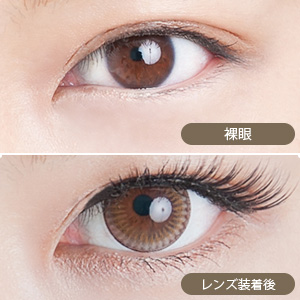 アイラボマンスリー No.14ジェイニーゴールドブラウン(1箱1枚入り)