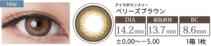 アイラボマンスリー No.16ベリーズブラウン(1箱1枚入り)