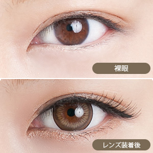 アイラボマンスリー No.16ベリーズブラウン(1箱1枚入り)