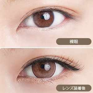 【+1箱無料】アイラボマンスリー No.17ベリーズナッツ(1箱1枚入り)