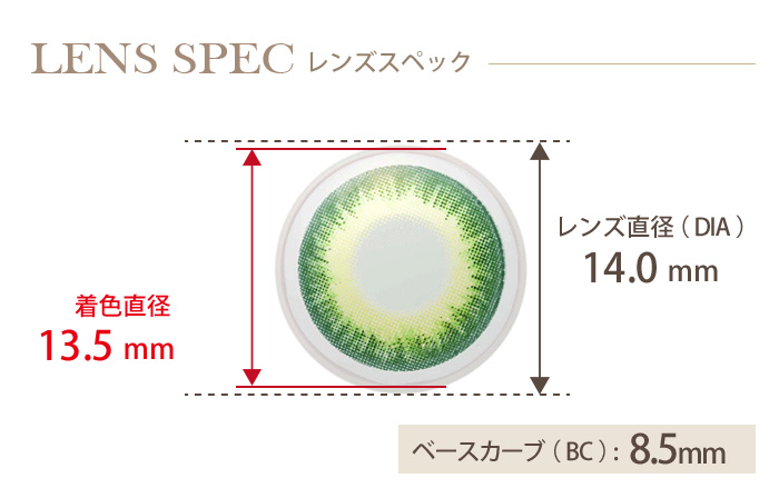エスカ ドールアイ 1箱1枚入り DIA(レンズ直径) 着色直径 BC(ベースカーブ)