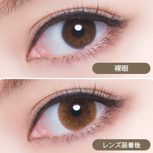 ピエナージュリュクス プラリネ(1箱10枚入り)