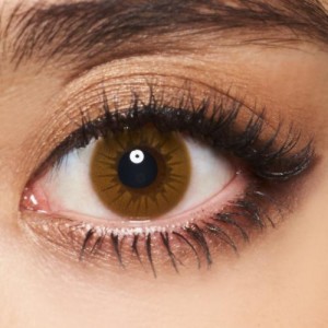 イットアイズ フォックスブラウン(ミックスシリーズ) 1箱10枚入り