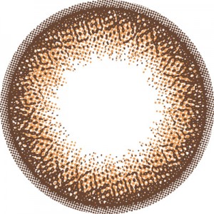 フランミー ドーナツブラウン(1箱10枚入り)