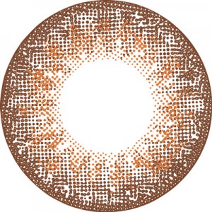 フランミー オレンジブラウニー(1箱30枚入り)