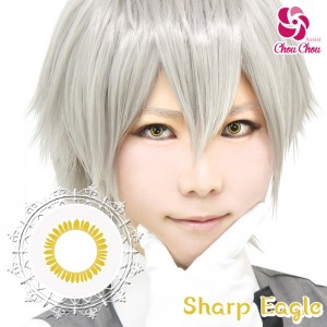 アシストシュシュ ハスキーアイワンデー シャープイーグル(1箱6枚入り)