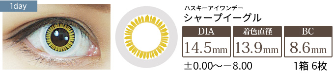 アシストシュシュ ハスキーアイワンデー シャープイーグル(1箱6枚入り)