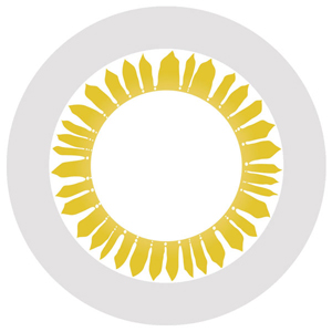 アシストシュシュ ハスキーアイワンデー シャープイーグル(1箱6枚入り)