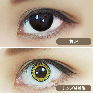 アシストシュシュ ハスキーアイワンデー シャープイーグル(1箱6枚入り)